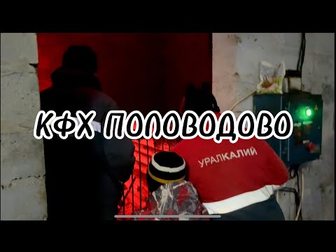 ГОСТИ НА ФЕРМЕ!