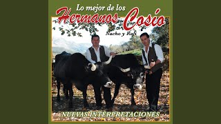 Tonada a una Madre