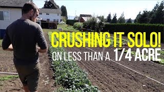 This Farmer Crushes It Solo On Less Than A Quarter Acre!