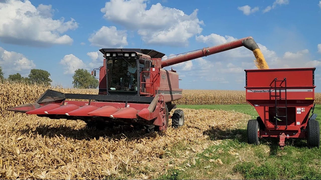 First Week of Corn Harvest 2025 & A New Wagon