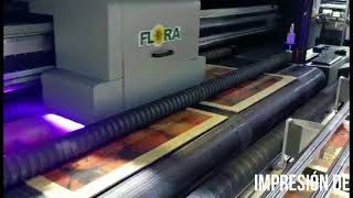Impresora híbrida Flora C25H - Integración de Sistemas Digitales S.A.