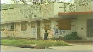 Nightline On Gangs  1988 ☆ Full Episode + More