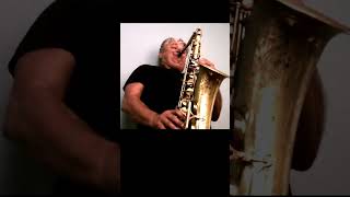 Video thumbnail of "Born To Run - Sax Cover #saxophonecover #saxophonemusic"