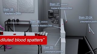 Idaho 4 Moscow Idaho Case | Azget Industries | Part 2 |  @AzgetFX 