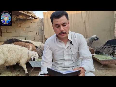 فوائد الملح صادمه نصيحه للمربين بنهاية الفديو