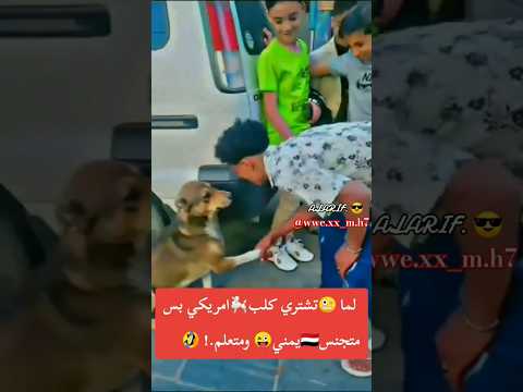 وين محبين مصطفى المومري اليمن السعوديه فيديوهات 2030 ترند السعودية الصياد مشاهير ضحك ترند