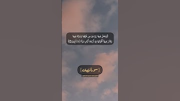 سورة فصلت الآية ١٠ و ١١ بصوت الشيخ محمد صديق المنشاوي