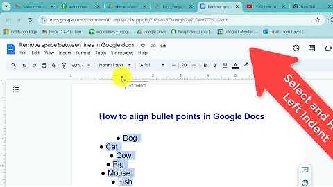 How to Align Bullet points in Google Docs