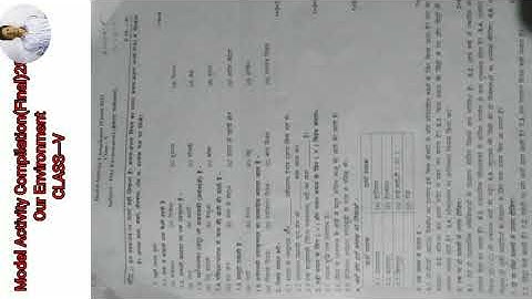 Model Activity Compilation (Final)2021 Our Environment  class-V.