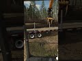 Loading Logs 🪵 Pollo Kula #farmingsimulator #farmingsimulator22 #farmingsimulator25 #fs25 #fs22