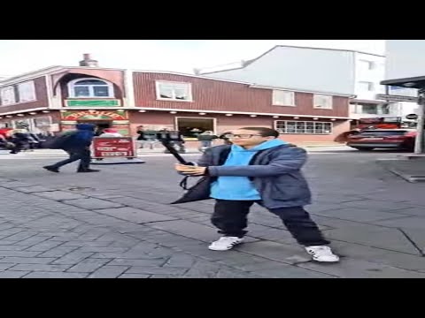 islandia reykjavík tour