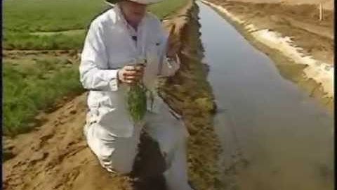 Greening of Eritrea Selected Scenes 3:40