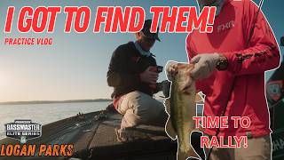 I Might Have Found Them!? - Lake Murray Elite Series Practice Vlog