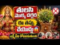 తులసి దగ్గర ఈ పొరపాటు చేస్తే ఇంట్లో శాంతి పోతుంది 😨 | లక్ష్మీ కటాక్షం కోసం ఇలా చేయండి