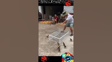 When physics works!! Part 79 #physics #sains #satisfying #amazing #amazingfacts