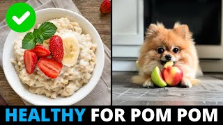 10 Human Foods that are Actually GOOD for Pomeranian