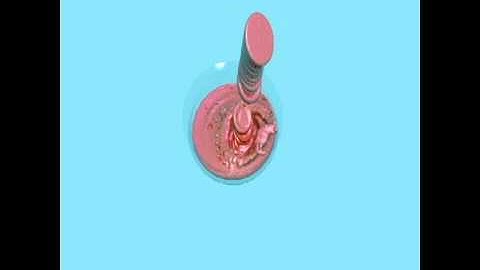 Realflow 5 + 3DS Max 2012 bowl filling and spill