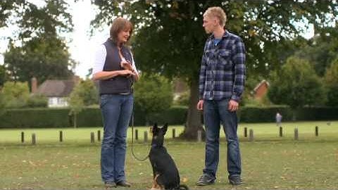 Lesson 2: Pulling on Lead