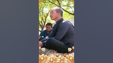 Đoàn Văn Báu Cầu Xin Sư Minh Tuệ Nghe Muốn Khóc