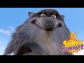 SUNNY BUNNIES | SONNIGE HÄSCHEN | SCARED WOLF | Lustige Cartoons für Kinder | WildBrain
