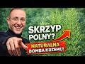 NIE TYLKO NA WŁOSY I PAZNOKCIE - SKRZYP POLNY
