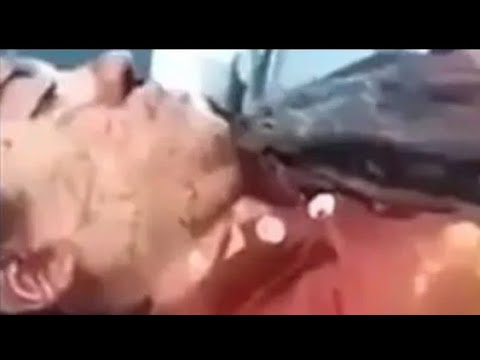 فديو مسرب من داخل المشرحة كامل نيرة اشرف