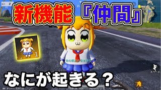 荒野行動 仲間スキン 新機能2つの特徴 ペットのようについてくるぞ Knives Out 総攻略ゲーム