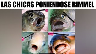 MEMES EPICOS #206