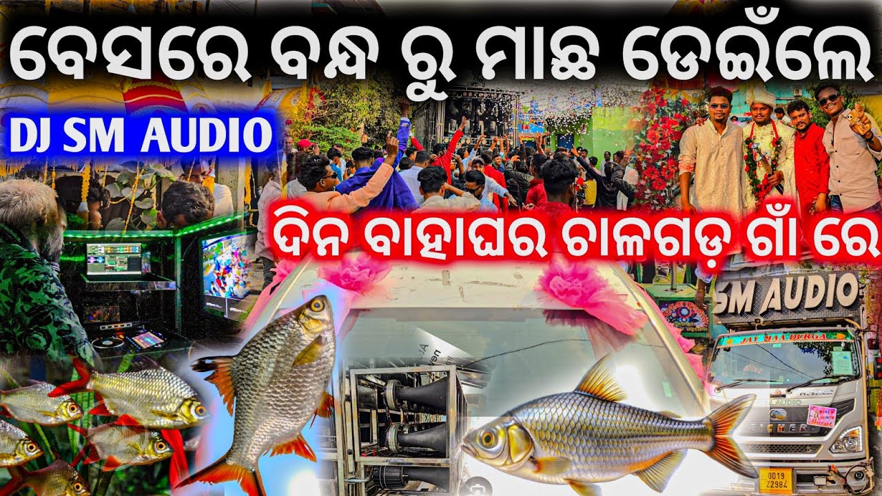 ଜିତୁ ଭାଇ ବେସ ମାଡ ରେ ବନ୍ଧ ରୁ ମାଛ ଡେଇଁଲେ ll Dj Sm Audio Day Marriage Program Talcher Chalagada Village