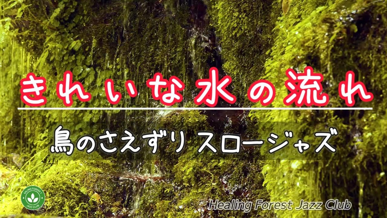 癒しの森ジャズクラブへようこそ！ライブ配信