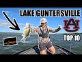 College Fishing Tournament on Lake Guntersville (TOP 10) [4K]