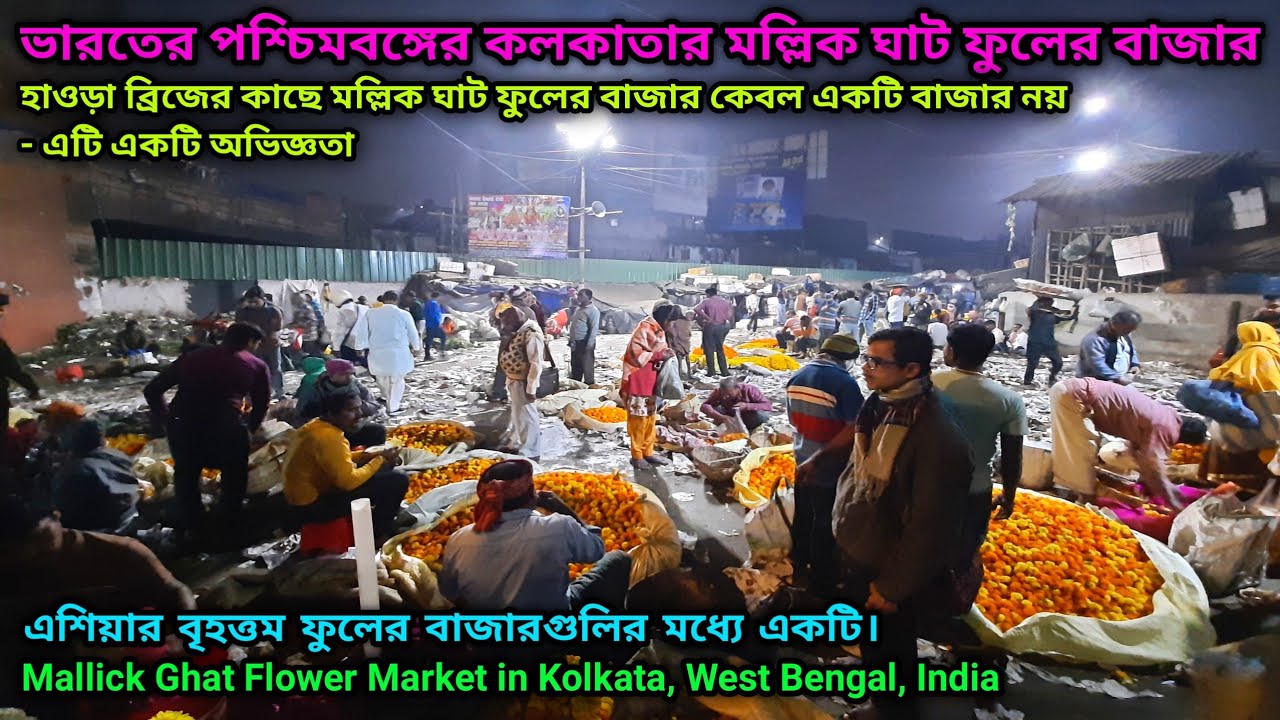 হাওড়া ব্রিজের কাছে মল্লিক ঘাট ফুলের বাজার কেবল একটি বাজার নয় - এটি একটি অভিজ্ঞতা।