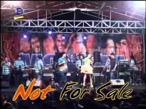 Download Mp3 Dangdut Koplo New Palapa Terbaru 2014 Download Mp3 Dangdut Koplo New Palapa Terbaru 2014
