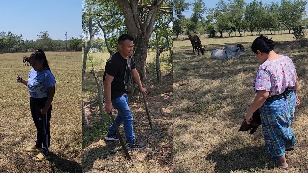 Doña Doris Vendera Este Terreno😱 Mira quien lo Comprara