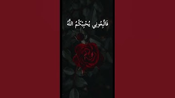 قل إن كنتم تحبون الله فاتبعوني يحببكم الله ويغفر لكم ذنوبكم والله = سورة آل عمران = #الشيخ سيد سعيد