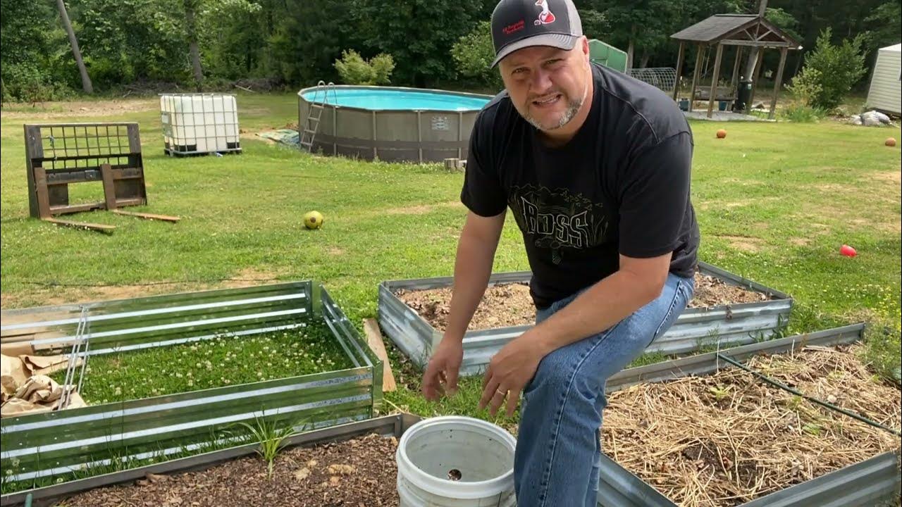 Creating a DYI Worm Bucket Bed? Will it work? YouTube
