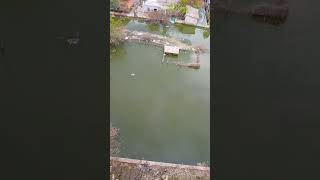 Гола Пристань ,місяць після потопу,07.07.2923 року
