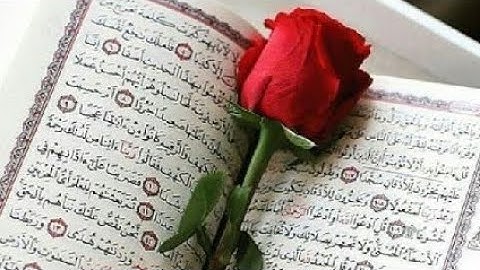 القرآن الكريم  سورة الفاتحة/من أحسن وأفضل التجاويد /مكررة 40مرة