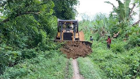 CAT D6R XL Bulldozer Opens Forest Road in Record Time - Must Watch!