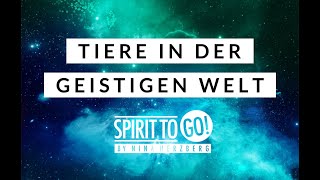 Tiere in der geistigen Welt (Jenseits)