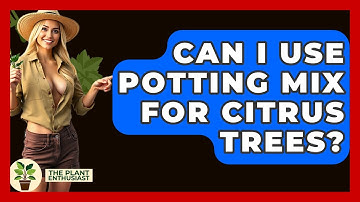 Can I Use Potting Mix For Citrus Trees? - The Plant Enthusiast