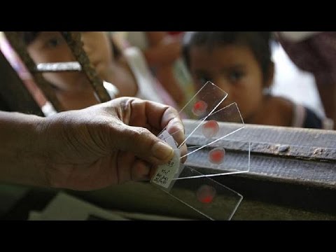 Video: Brug Af En Meget Følsom Hurtig Diagnostisk Test Til Screening For Malaria Under Graviditet I Indonesien