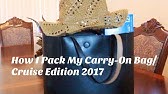 April 11, 2017 VLOG upcoming cruise and items I pack - YouTube