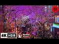 Shibuya’s Popular Sakura Illumination &amp; a &quot;Secret&quot; Sakura Spot to Relax - 4K HDR