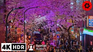 Shibuya’s Popular Sakura Illumination & a "Secret" Sakura Spot to Relax - 4K HDR