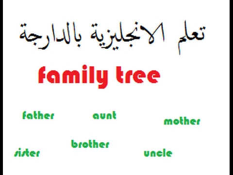 الدرس 2 تعلم الانجليزية بالدارجة شجرة العائلة Family Tree