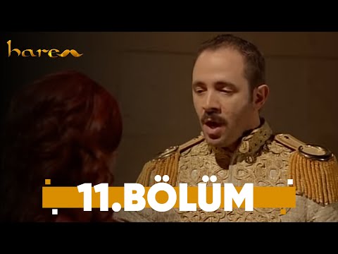 Harem - 11. Bölüm