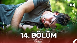 Tatlı Küçük Yalancılar 14. Bölüm Full Hd