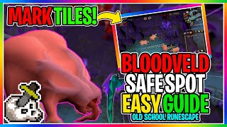 OSRS - How To Safe Spot Bloodvelds In The Catacombs Of Kourend - ( EVERYTHING YOU NEED TO KNOW )