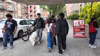 Astoria, Queens | My Dad’s Memories from the Old Days